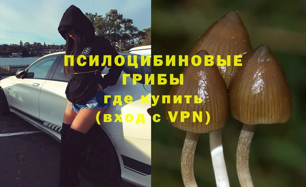 прущий лед Верея