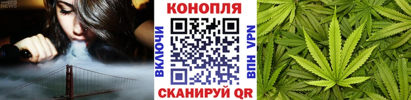 где купить наркоту  Пласт  Конопля SATIVA & INDICA 
